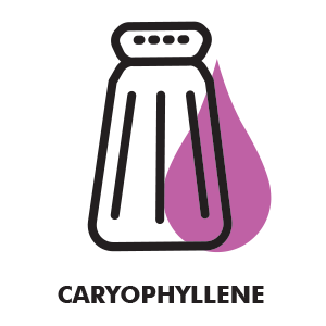 Caryophyllene