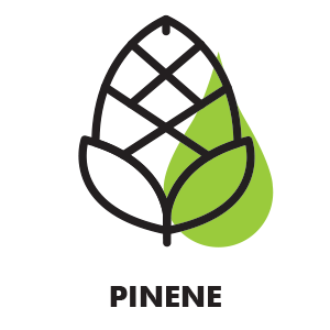 Pinene