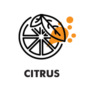 Aroma Citrus