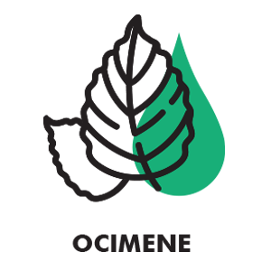 Ocimene