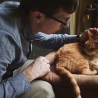 Pets